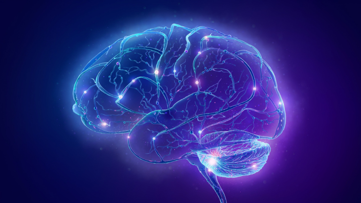 https://wysscenter.ch/wp-content/uploads/non-invasive-dbs-project.png